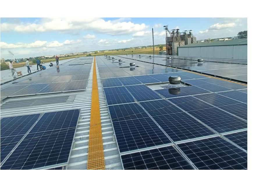 Utility Scale Solar Projects